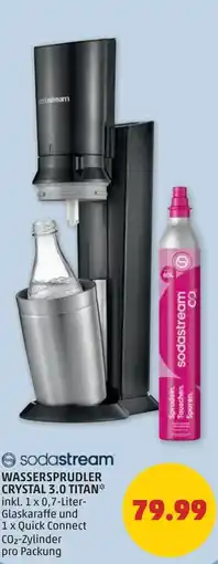 PENNY Sodastream wassersprudler crystal 3.0 titan Angebot