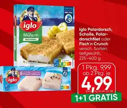 Spar Iglo polardorsch, scholle, polar- dorschfilet oder fisch'n crunch Angebot
