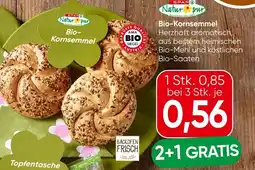 Spar Bio- Kornsemmel Angebot