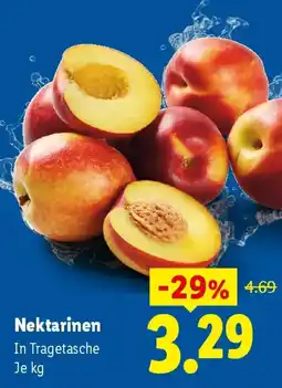 Lidl Nektarinen Angebot