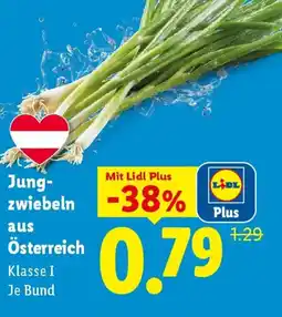 Lidl Jung- zwiebeln -38% aus Österreich Angebot