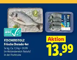 Lidl Fischerstolz frische dorade 4er Angebot