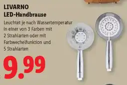Lidl LIVARNO LED-Handbrause Angebot