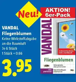 Lidl VANDAL Fliegenblumen Angebot