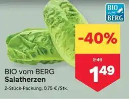 MPreis BIO vom BERG Salatherzen Angebot