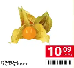 Transgourmet Physalis kl.1 Angebot