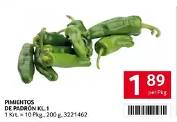 Transgourmet Pimientos de padrón Angebot