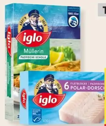 MPreis Iglo Polardorsch Angebot