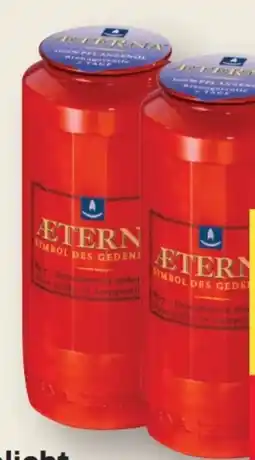 MPreis Aeterna Grablicht Angebot