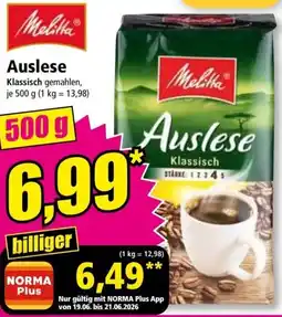 Norma Melitta Auslese Angebot