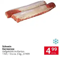 Transgourmet Schwein Karreerose Angebot