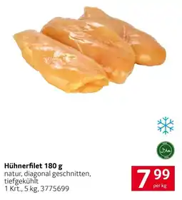 Transgourmet Hühnerfilet Angebot