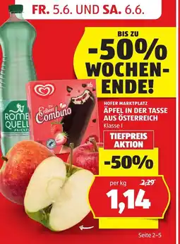 Hofer Äpfel in der tasse aus österreich Angebot