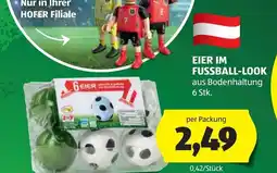 Hofer Eier im fussball-look Angebot