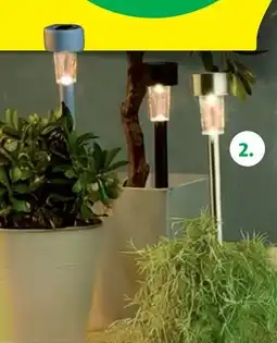 Hofer Solar-gartenleuchte Angebot