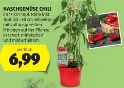 Hofer Naschgemüse chili Angebot
