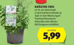 Hofer Kräuter-trio Angebot