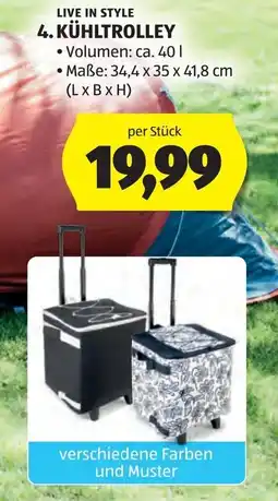 Hofer Kühltrolley Angebot