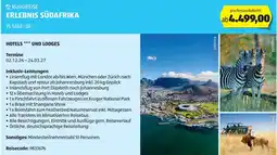Hofer Erlebnis südafrika Angebot