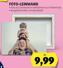 Hofer Foto-leinwand Angebot