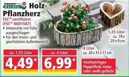 Norma Powerre Garden Holz- Pflanzherz Angebot