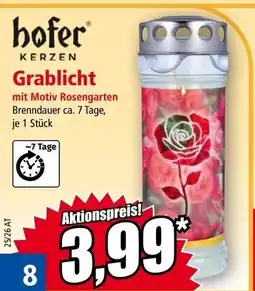 Norma Hofer kerzen Angebot
