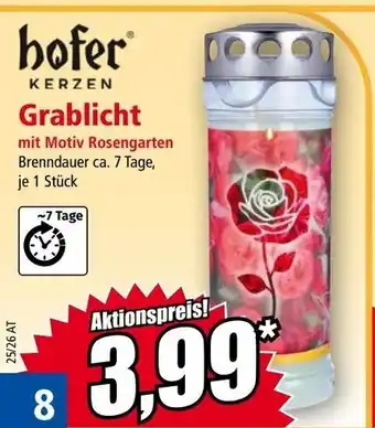 Hofer kerzen