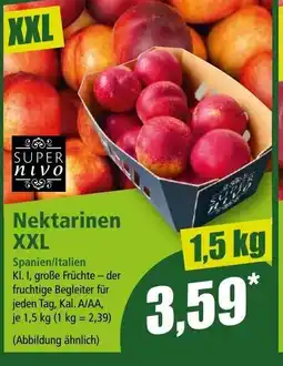 Norma Nektarinen xxl Angebot