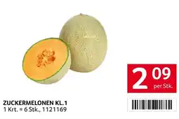 Transgourmet ZUCKERMELONEN KL.1 Angebot