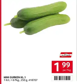 Transgourmet Mini gurken kl.1 Angebot