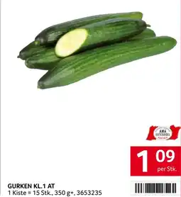 Transgourmet Gurken kl.1 at Angebot