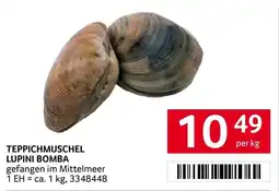 Transgourmet Teppichmuschel lupini bomba Angebot