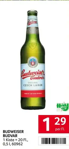 Transgourmet Budweiser budvar Angebot