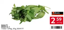 Transgourmet Quality minze kl.1 Angebot