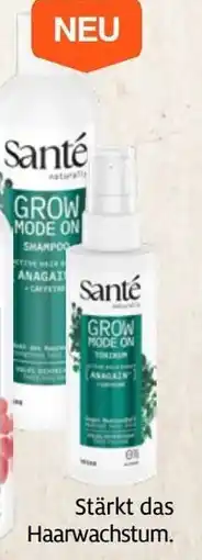 Prokopp SANTÉ Haarpflege Angebot