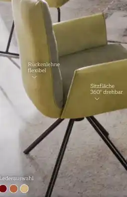 XXXLutz Dieter Knoll Armlehnstuhl Angebot