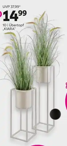 Mömax Übertopf Kiara Angebot