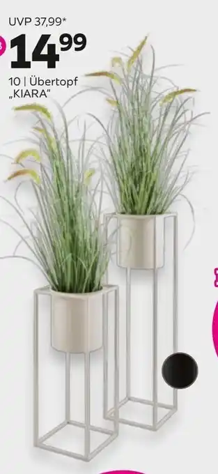 Mömax Übertopf Kiara Angebot