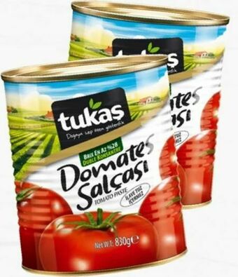ETSAN Tomatenmark Angebot