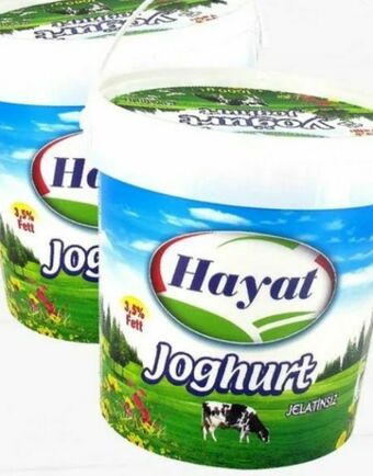 ETSAN Joghurt Angebot