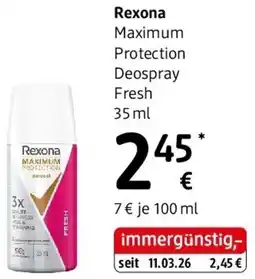 dm Rexona Angebot