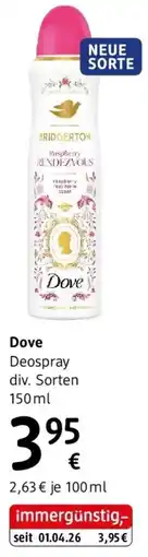 dm Dove Angebot