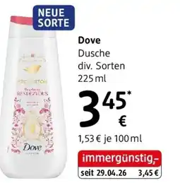 dm Dove Angebot