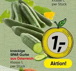Spar knackige SPAR Gurke Angebot