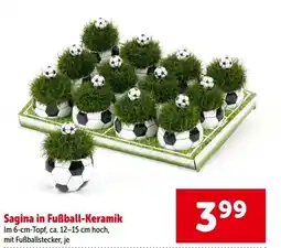 Interspar Sagina in Fußball-Keramik Angebot
