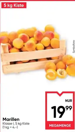Maximarkt Marillen Angebot