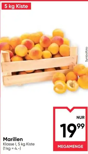 Maximarkt Marillen Angebot