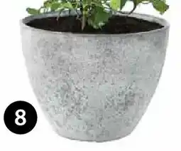 Dehner Pflanztopf 'nova Angebot