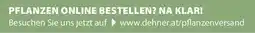 Dehner Pflanzen online bestellen? na klar! Angebot