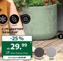 Dehner Pflanztopf 'basalt up Angebot